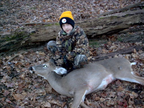 Whitetail Doe
